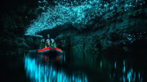 1天0晚 · 新西兰 · 怀托莫萤火虫洞+霍比特村1日游