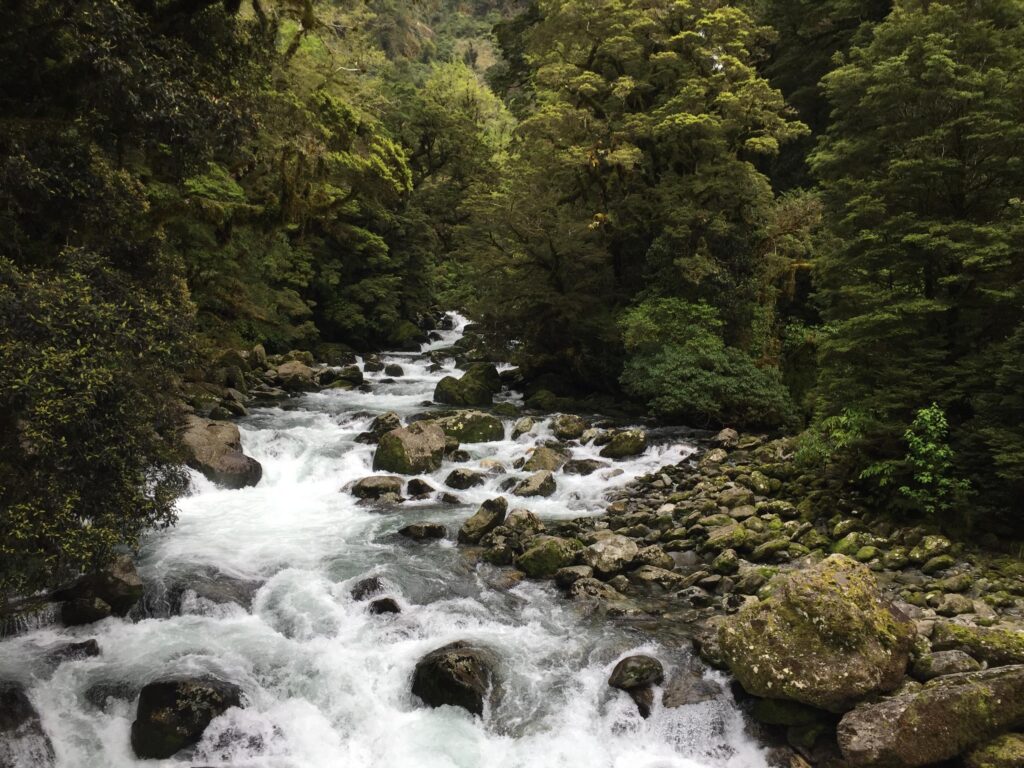 新西兰峡湾国家公园山水景观