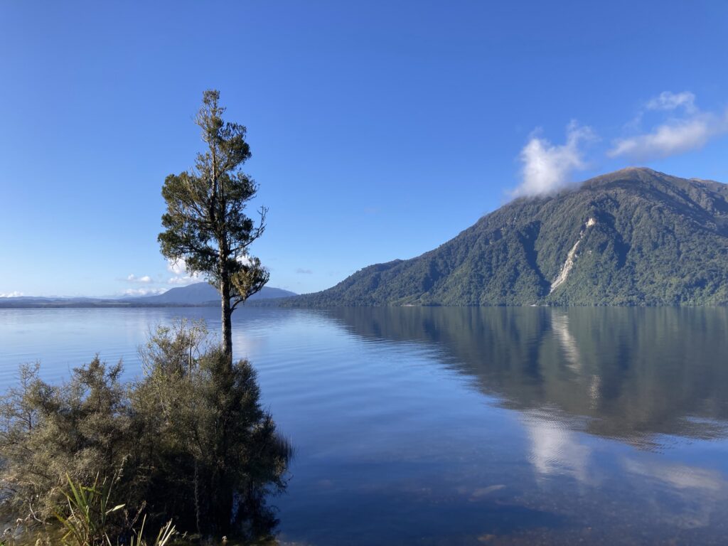 新西兰西海岸莫阿纳南岸远望布伦纳湖